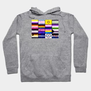 Pride Flag Collage Hoodie